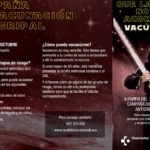 Vacunas de la gripe: Mylan y Seqirus tendrán que garantizar el suministro