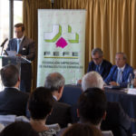 Luis de Palacio asume la presidencia de FEFE y tiende la mano al sector