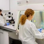 País Vasco: Salud avanza en el cumplimiento de su Estrategia de Investigación e Innovación